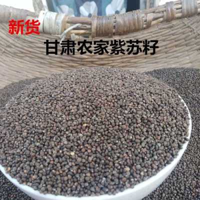 苏子籽哪里（紫苏子一亩产多少斤苏子籽）-第1张图片-厨房小当家