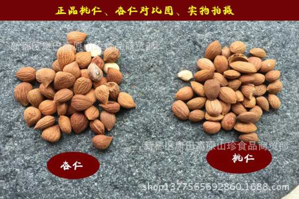 桃仁产地是哪里最好,桃仁哪里最道地-第3张图片-厨房小当家 桃仁产地是哪里最好,桃仁哪里最道地-第3张图片-厨房小当家