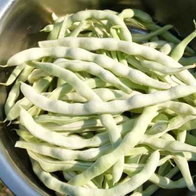 豆角哪里最多(豆角哪里可以吃)-第1张图片-厨房小当家 豆角哪里最多(豆角哪里可以吃)-第1张图片-厨房小当家