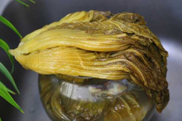 哪里腌酸菜(酸菜放在什么地方好)-第2张图片-厨房小当家 哪里腌酸菜(酸菜放在什么地方好)-第2张图片-厨房小当家