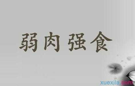 哪里瘦肉好吃(形容猪肉的词语有哪些)-第1张图片-厨房小当家 哪里瘦肉好吃(形容猪肉的词语有哪些)-第1张图片-厨房小当家