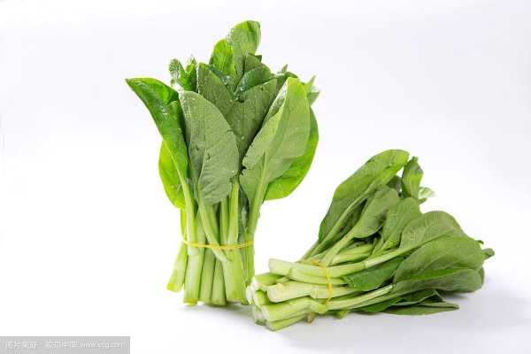 菜心吃哪里(只能吃里面的芯的菜是什么)-第3张图片-厨房小当家 菜心吃哪里(只能吃里面的芯的菜是什么)-第3张图片-厨房小当家