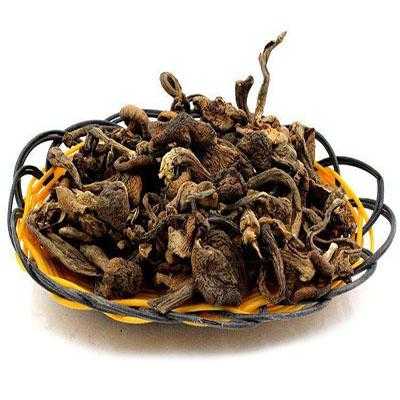 哪里蘑菇好吃(东北十大最好吃的蘑菇排名)-第2张图片-厨房小当家 哪里蘑菇好吃(东北十大最好吃的蘑菇排名)-第2张图片-厨房小当家