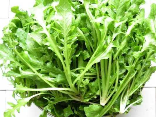 威海哪里荠菜(威海哪里荠菜好吃)-第2张图片-厨房小当家 威海哪里荠菜(威海哪里荠菜好吃)-第2张图片-厨房小当家