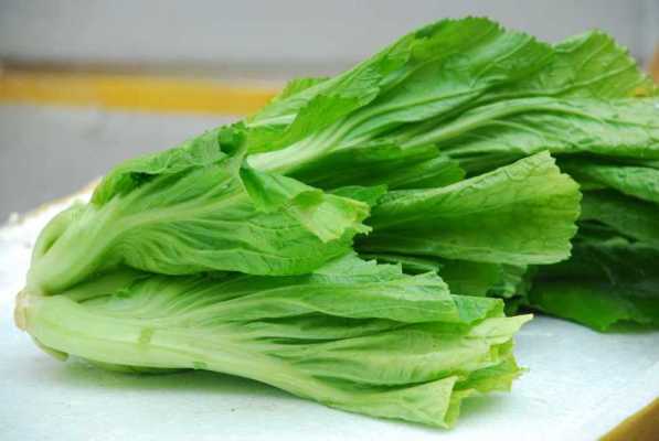 芥菜吃哪里（芥菜吃叶还是吃根）-第2张图片-厨房小当家
