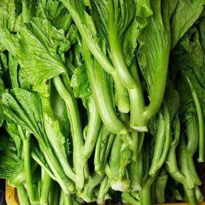 芥菜吃哪里（芥菜吃叶还是吃根）-第3张图片-厨房小当家