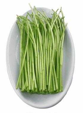 芦蒿哪里吃(芦蒿哪里的最好)-第1张图片-厨房小当家 芦蒿哪里吃(芦蒿哪里的最好)-第1张图片-厨房小当家