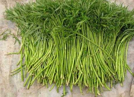 芦蒿哪里吃(芦蒿哪里的最好)-第3张图片-厨房小当家 芦蒿哪里吃(芦蒿哪里的最好)-第3张图片-厨房小当家