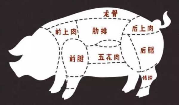 猪哪个位置嫩,猪肉哪里嫩一点-第2张图片-厨房小当家