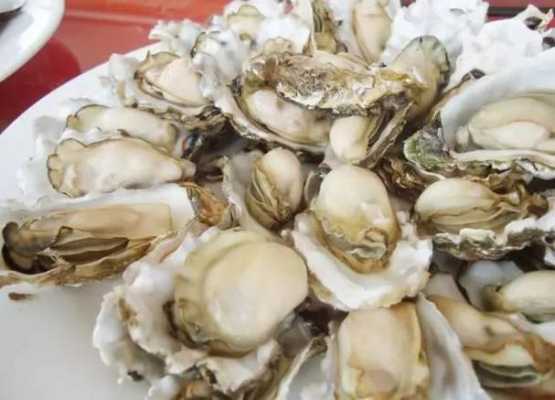 海蛎哪里最多(海蛎哪里最多吃)-第1张图片-厨房小当家 海蛎哪里最多(海蛎哪里最多吃)-第1张图片-厨房小当家