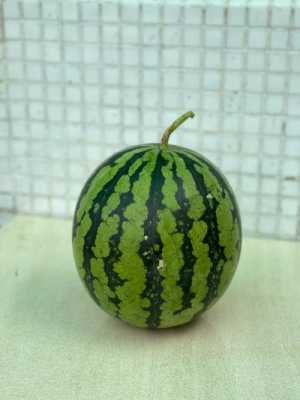 西瓜瘦哪里(苹果12元,西瓜10元,西瓜比苹果便宜百分之几)-第1张图片-厨房小当家 西瓜瘦哪里(苹果12元,西瓜10元,西瓜比苹果便宜百分之几)-第1张图片-厨房小当家