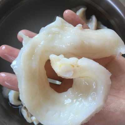 鱼胶洗哪里（花胶清洗方法）-第3张图片-厨房小当家