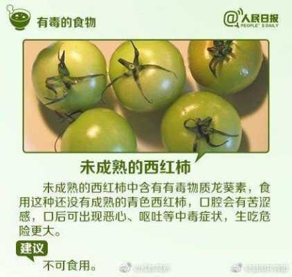 蔬菜哪里有毒(有毒的蔬菜有哪些)-第2张图片-厨房小当家 蔬菜哪里有毒(有毒的蔬菜有哪些)-第2张图片-厨房小当家