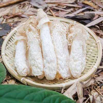 竹荪是哪里(竹荪是哪里的特产)-第1张图片-厨房小当家 竹荪是哪里(竹荪是哪里的特产)-第1张图片-厨房小当家