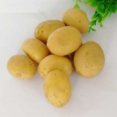 内蒙古土豆和山东土豆哪个好吃,哪里马铃薯好吃又便宜-第3张图片-厨房小当家 内蒙古土豆和山东土豆哪个好吃,哪里马铃薯好吃又便宜-第3张图片-厨房小当家