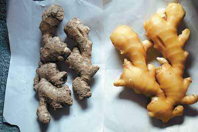老姜哪里最多(老姜哪里最好)-第1张图片-厨房小当家 老姜哪里最多(老姜哪里最好)-第1张图片-厨房小当家