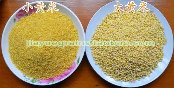 大黄米哪产的好,黍米哪里最好吃最正宗-第1张图片-厨房小当家