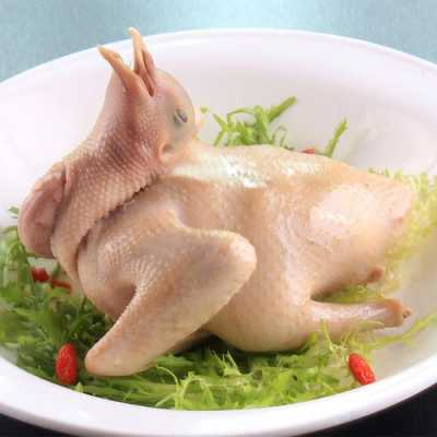 哪里乳鸽好吃(哪里乳鸽好吃又便宜)-第2张图片-厨房小当家 哪里乳鸽好吃(哪里乳鸽好吃又便宜)-第2张图片-厨房小当家