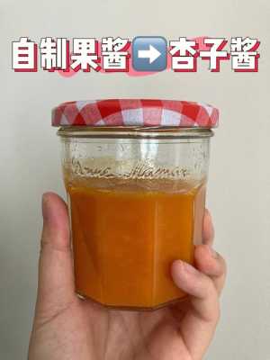 哪里做果酱(果酱是什么做成的)-第2张图片-厨房小当家 哪里做果酱(果酱是什么做成的)-第2张图片-厨房小当家