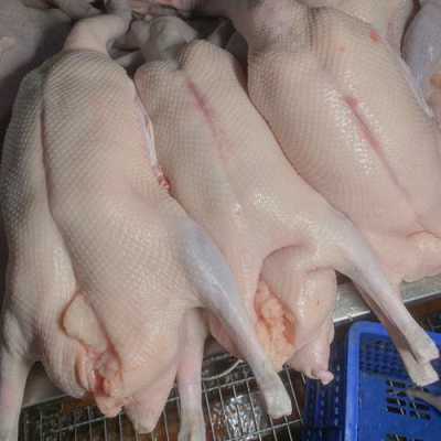 鹅肉吃哪里(什么动物吃鹅内脏)-第3张图片-厨房小当家 鹅肉吃哪里(什么动物吃鹅内脏)-第3张图片-厨房小当家