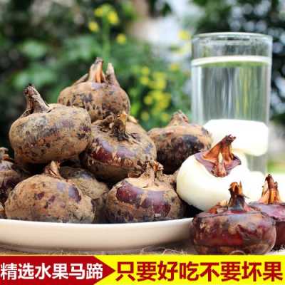 哪里的马蹄最好吃,哪里马蹄好吃又便宜-第3张图片-厨房小当家 哪里的马蹄最好吃,哪里马蹄好吃又便宜-第3张图片-厨房小当家