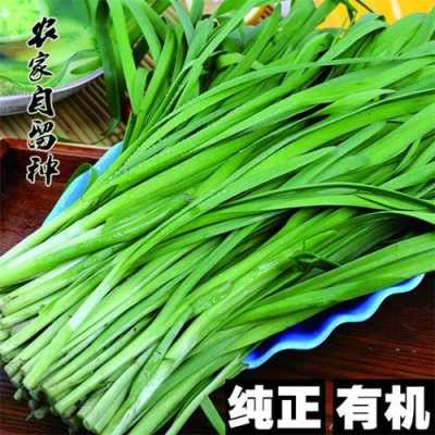韭菜哪里有种的,韭菜哪里好吃-第3张图片-厨房小当家 韭菜哪里有种的,韭菜哪里好吃-第3张图片-厨房小当家