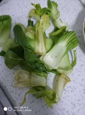 油菜吃哪里(油菜吃哪个部位)-第3张图片-厨房小当家 油菜吃哪里(油菜吃哪个部位)-第3张图片-厨房小当家