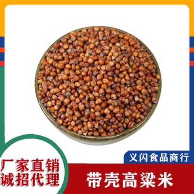 东北白高粱米哪里的最好,哪里高粱好吃又便宜-第1张图片-厨房小当家 东北白高粱米哪里的最好,哪里高粱好吃又便宜-第1张图片-厨房小当家