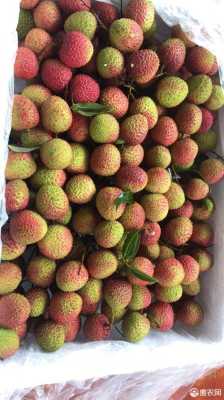 荔枝可以寄什么快递,哪里快递荔枝最便宜-第3张图片-厨房小当家