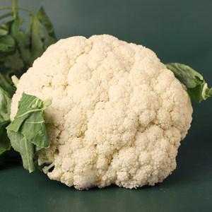 菜花哪里有(菜花哪里有营养)-第1张图片-厨房小当家 菜花哪里有(菜花哪里有营养)-第1张图片-厨房小当家