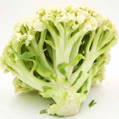 菜花哪里有(菜花哪里有营养)-第2张图片-厨房小当家 菜花哪里有(菜花哪里有营养)-第2张图片-厨房小当家