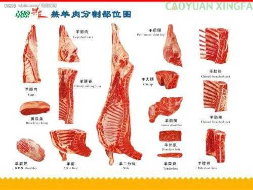 羊舌在哪里(羊舌是什么意思)-第2张图片-厨房小当家 羊舌在哪里(羊舌是什么意思)-第2张图片-厨房小当家