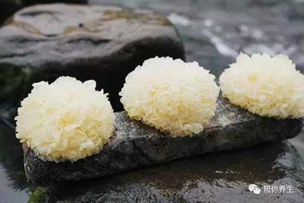 哪里 银耳 好（哪里产的银耳最好）-第3张图片-厨房小当家