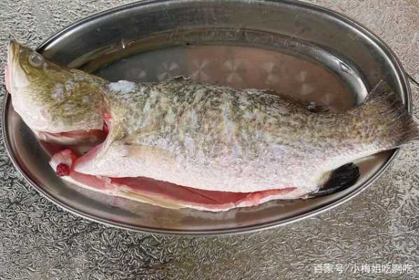 鲈鱼吃哪里(鲈鱼吃哪里没有刺)-第1张图片-厨房小当家 鲈鱼吃哪里(鲈鱼吃哪里没有刺)-第1张图片-厨房小当家