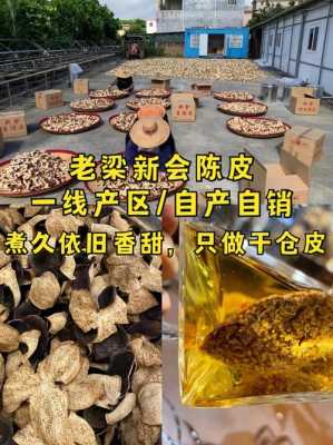 陈皮应该选择什么样市场,陈皮选用哪里的好-第1张图片-厨房小当家 陈皮应该选择什么样市场,陈皮选用哪里的好-第1张图片-厨房小当家