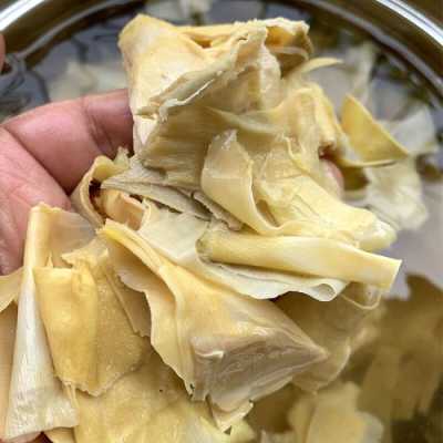 笋衣是哪里(笋衣是哪里的特产)-第1张图片-厨房小当家 笋衣是哪里(笋衣是哪里的特产)-第1张图片-厨房小当家
