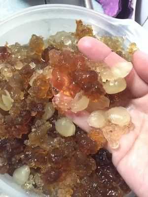 桃胶哪里盛产(桃胶哪里盛产的最好)-第3张图片-厨房小当家 桃胶哪里盛产(桃胶哪里盛产的最好)-第3张图片-厨房小当家