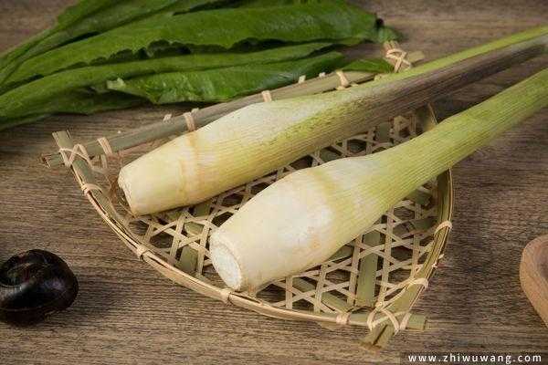 茭白几月最贵,茭白出自哪里的菜-第1张图片-厨房小当家 茭白几月最贵,茭白出自哪里的菜-第1张图片-厨房小当家