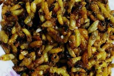 蜂蛹哪里菜(取蜂蛹的最佳方法)-第2张图片-厨房小当家 蜂蛹哪里菜(取蜂蛹的最佳方法)-第2张图片-厨房小当家