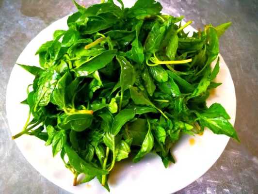 荆芥晒干后还好吃吗,荆芥哪里好吃啊-第1张图片-厨房小当家 荆芥晒干后还好吃吗,荆芥哪里好吃啊-第1张图片-厨房小当家
