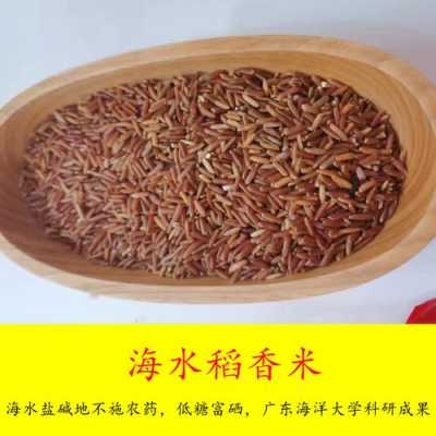 中国八大著名香米,哪里稻米好吃又香-第1张图片-厨房小当家 中国八大著名香米,哪里稻米好吃又香-第1张图片-厨房小当家