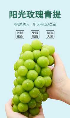 哪里提子好吃(哪里的阳光玫瑰最好吃最正宗)-第2张图片-厨房小当家 哪里提子好吃(哪里的阳光玫瑰最好吃最正宗)-第2张图片-厨房小当家