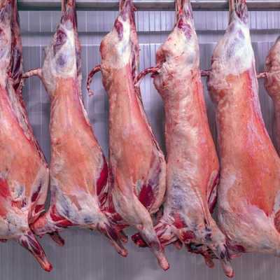 羊肉哪里收(羊肉哪里收购)-第1张图片-厨房小当家 羊肉哪里收(羊肉哪里收购)-第1张图片-厨房小当家
