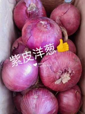 紫色洋葱和粉色洋葱区别,洋葱 哪里 紫色的好吃-第3张图片-厨房小当家 紫色洋葱和粉色洋葱区别,洋葱 哪里 紫色的好吃-第3张图片-厨房小当家