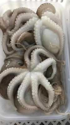 哪里产墨鱼(哪里的墨鱼最好)-第3张图片-厨房小当家 哪里产墨鱼(哪里的墨鱼最好)-第3张图片-厨房小当家
