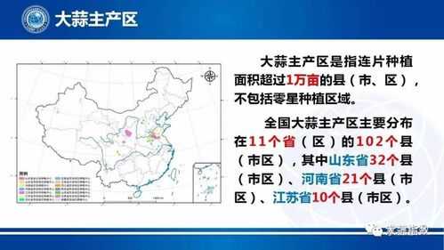 大蒜哪里盛产（中国大蒜种植主要产地分布在哪）-第1张图片-厨房小当家