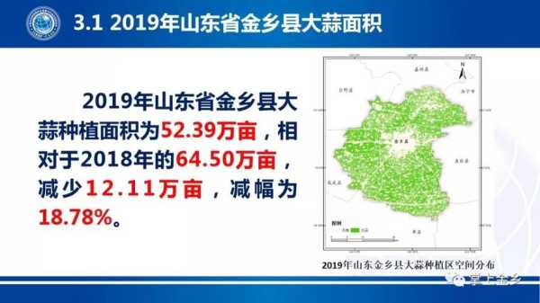 大蒜哪里盛产（中国大蒜种植主要产地分布在哪）-第2张图片-厨房小当家