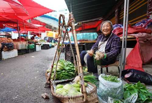 沈阳哪里卖菜最全(沈阳哪里卖菜最全便宜)-第3张图片-厨房小当家 沈阳哪里卖菜最全(沈阳哪里卖菜最全便宜)-第3张图片-厨房小当家