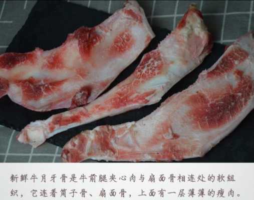 牛肉带脆骨的部位叫啥,牛脆骨是哪里的特产-第3张图片-厨房小当家 牛肉带脆骨的部位叫啥,牛脆骨是哪里的特产-第3张图片-厨房小当家