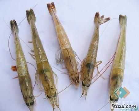 青虾哪里的好吃(青虾哪个产地的最好)-第3张图片-厨房小当家 青虾哪里的好吃(青虾哪个产地的最好)-第3张图片-厨房小当家